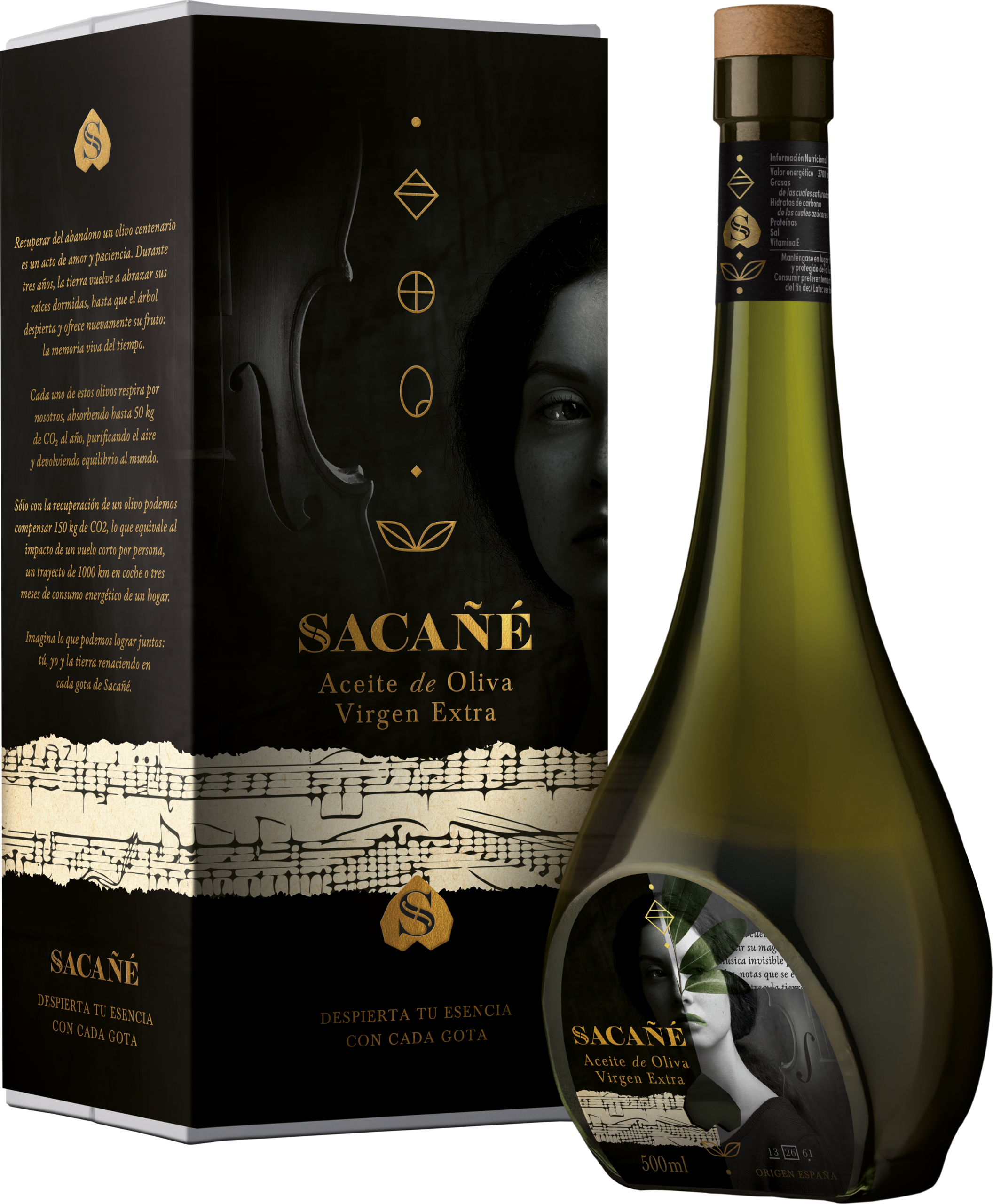 Aceite de Oliva Virgen Extra Sacañé